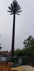 छलावरण संचार पाइन पाम ट्री टॉवर 0m - 80m ऊँचाई